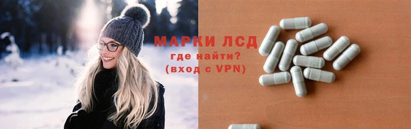 эйфоретик Аркадак