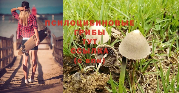 СК Армянск