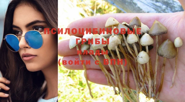 эйфоретик Аркадак