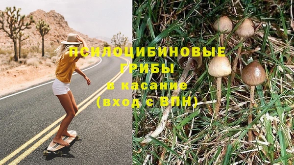 эйфоретик Аркадак