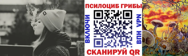 Галлюциногенные грибы Psilocybine cubensis  Холмск 